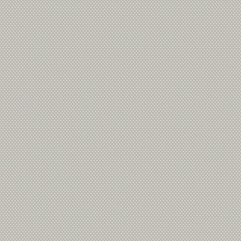 Chivasso New Chapter Colour 2