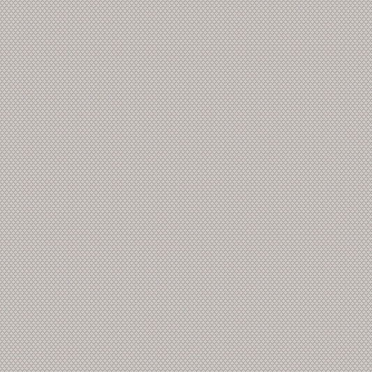 Chivasso New Chapter Colour 3