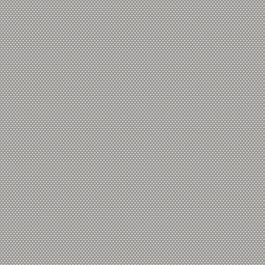 Chivasso New Chapter Colour 15