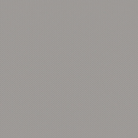 Chivasso New Chapter Colour 16