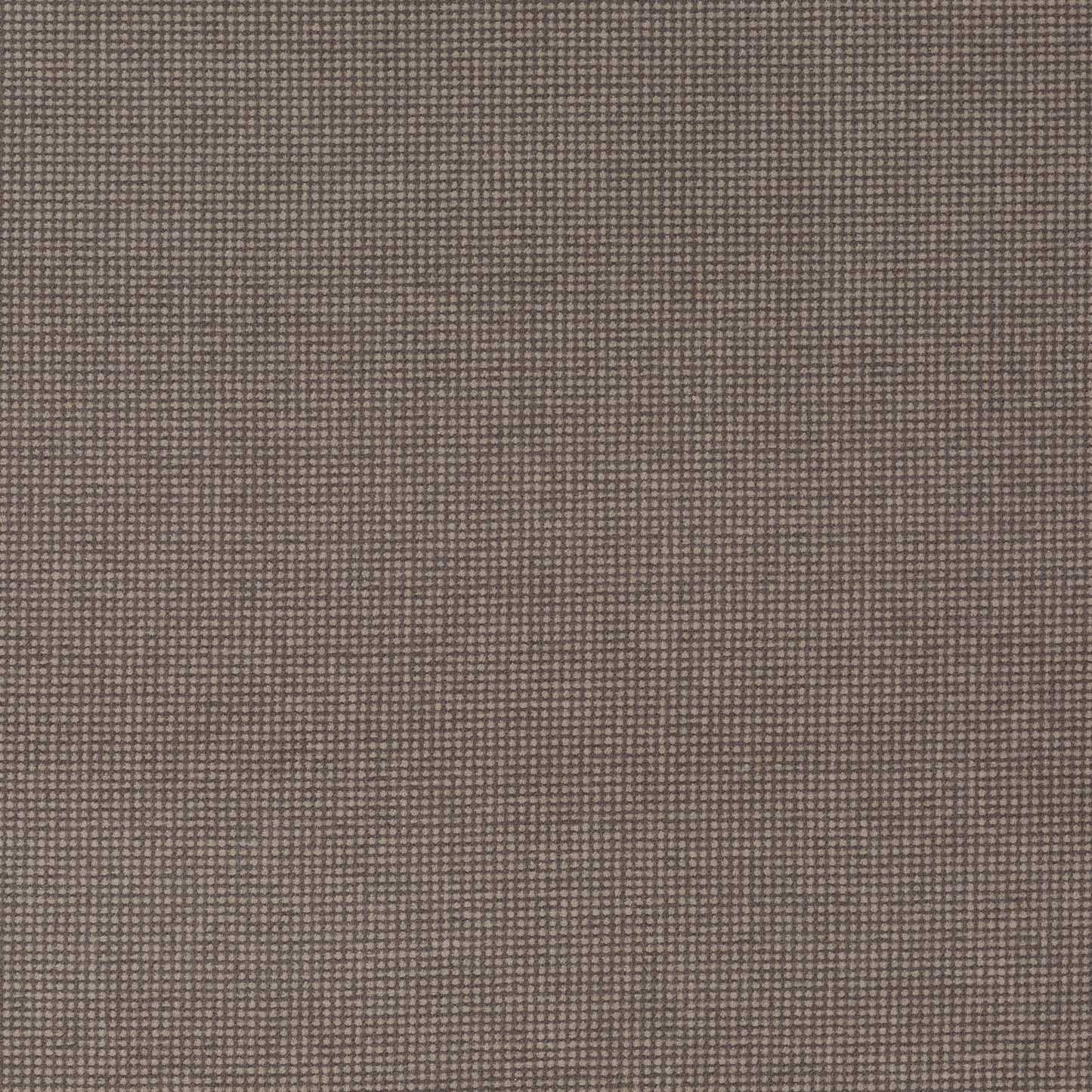 Chivasso New Look Colour 12