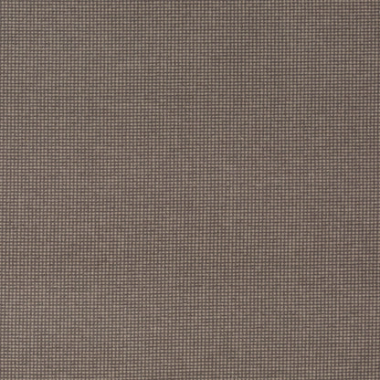 Chivasso New Look Colour 12