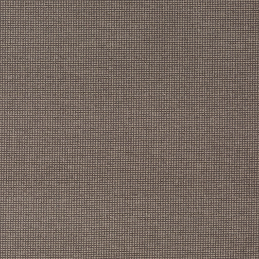 Chivasso New Look Colour 12