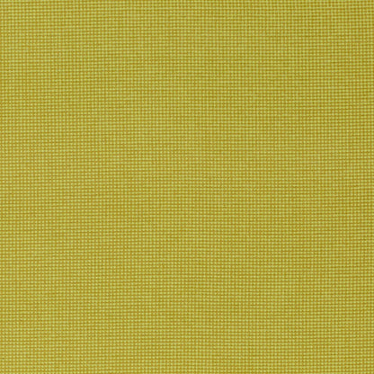 Chivasso New Look Colour 5