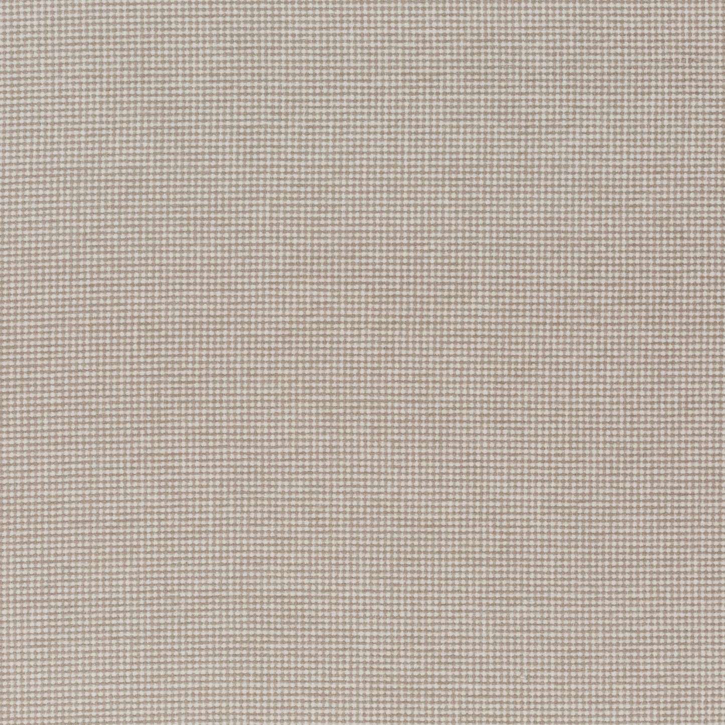 Chivasso New Look Colour 4