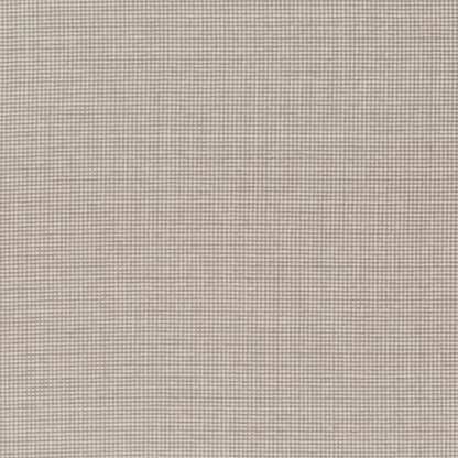 Chivasso New Look Colour 4