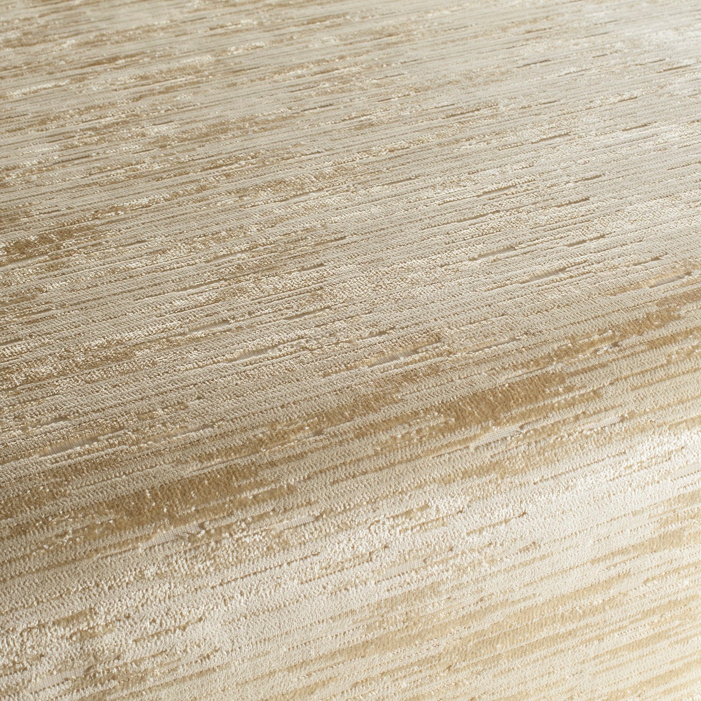 Chivasso Forever Friends Colour 5