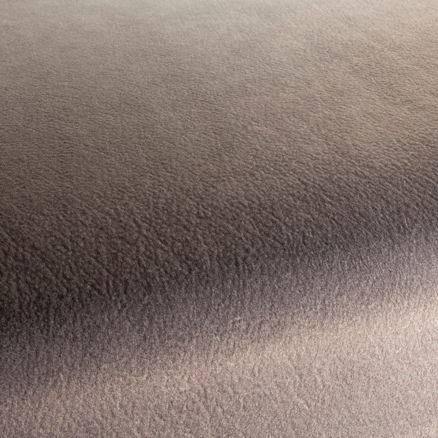 Chivasso by Your Side Colour 22