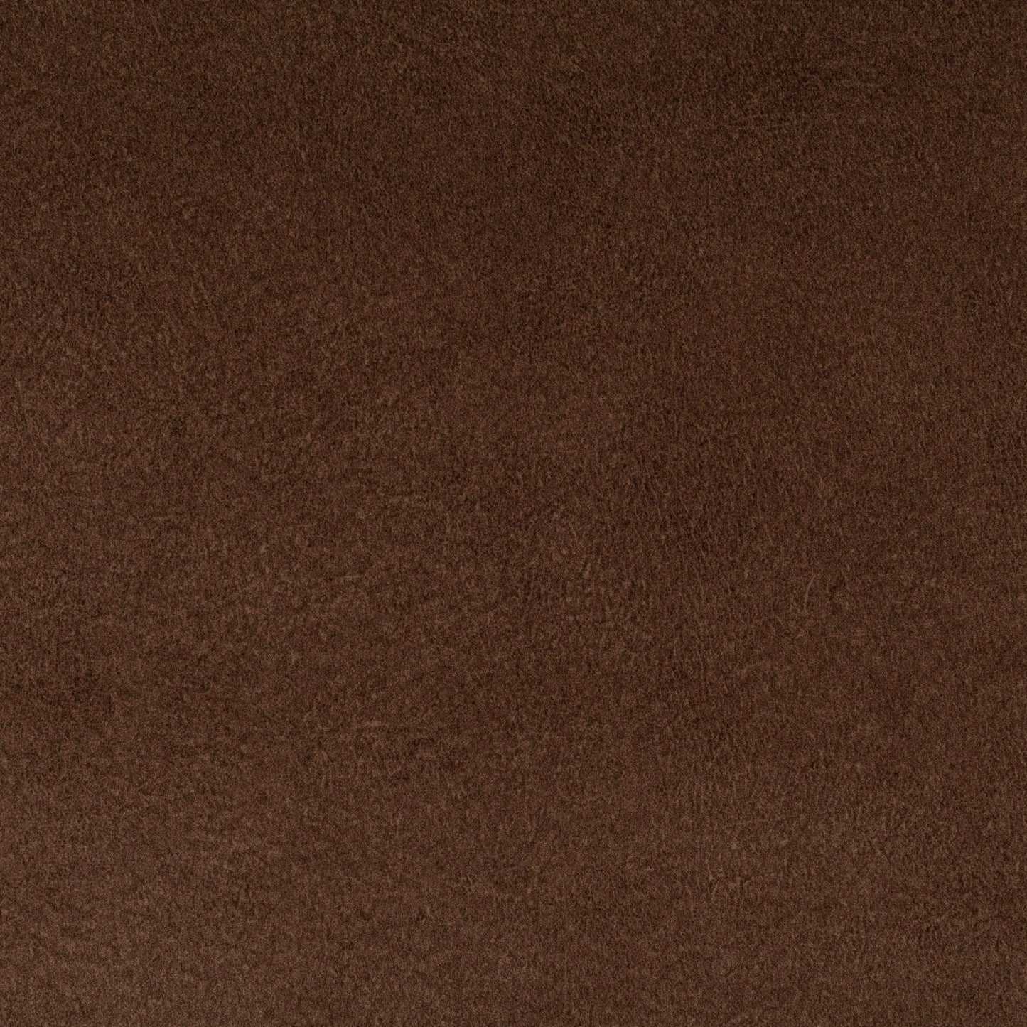 Chivasso by Your Side Colour 23