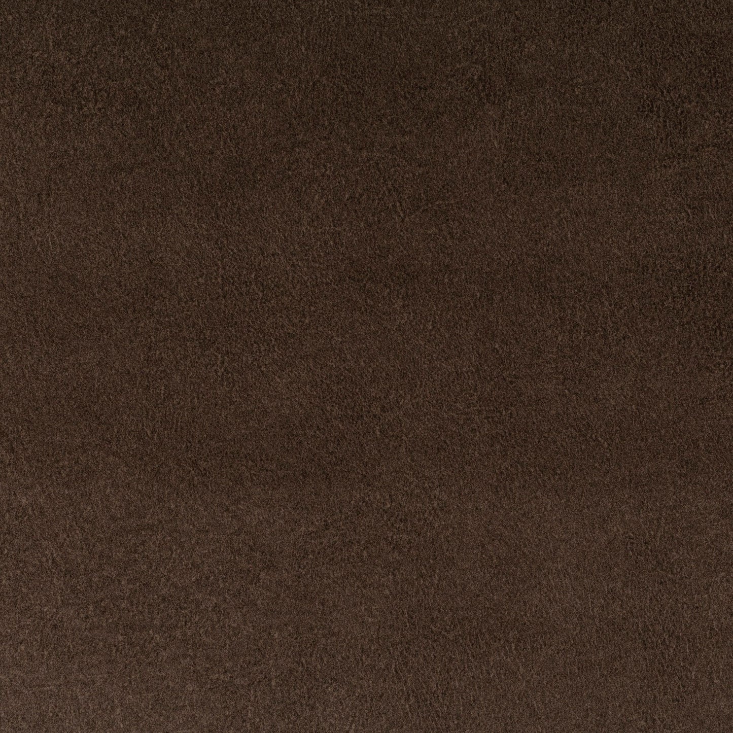 Chivasso by Your Side Colour 24