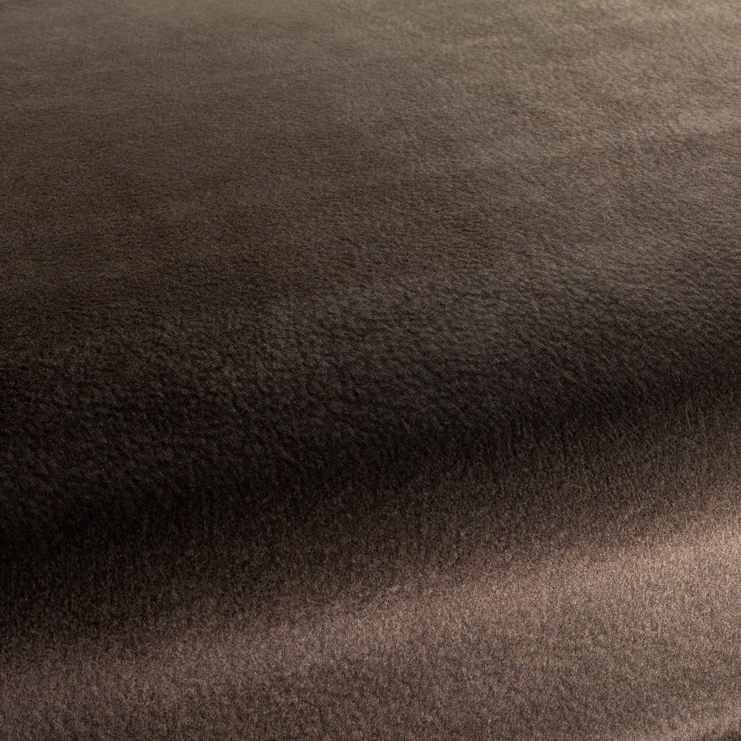 Chivasso by Your Side Colour 24