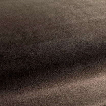 Chivasso by Your Side Colour 24