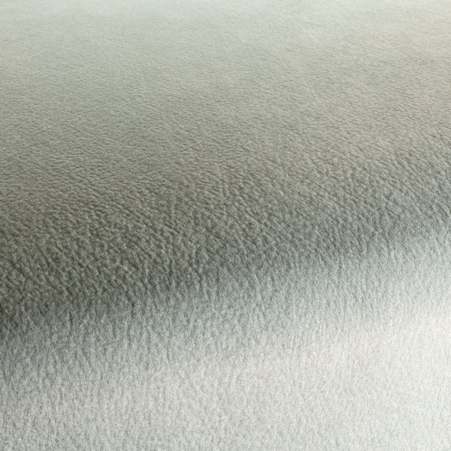 Chivasso by Your Side Colour 8