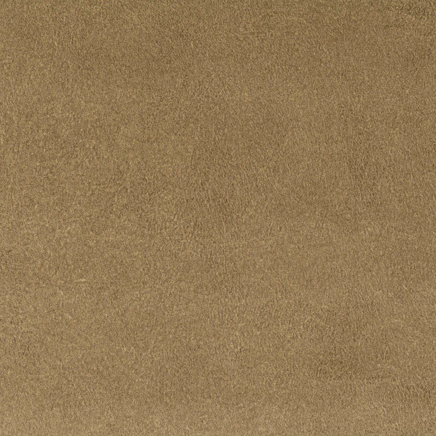 Chivasso by Your Side Colour 9