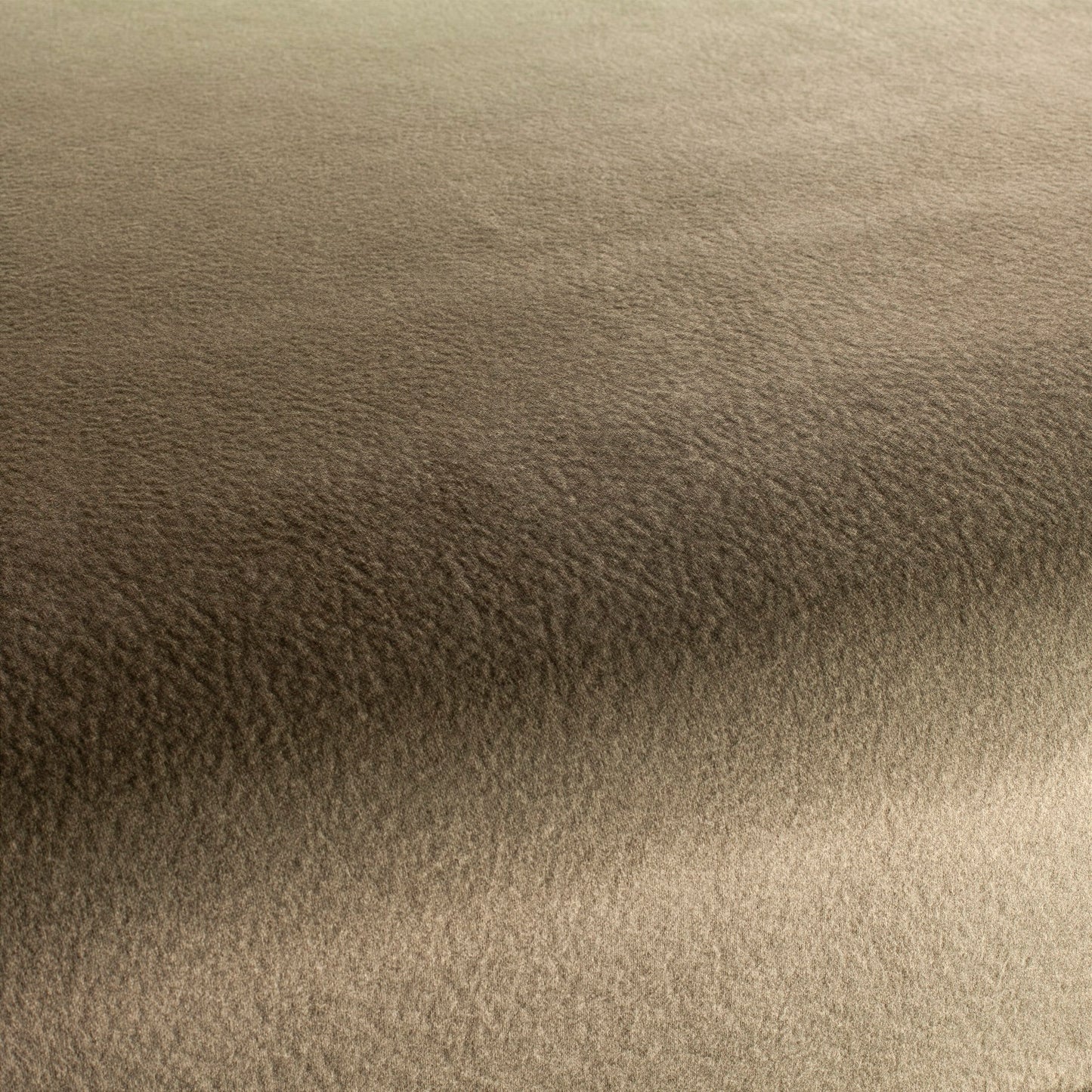 Chivasso by Your Side Colour 9