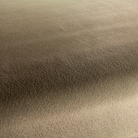 Chivasso by Your Side Colour 9