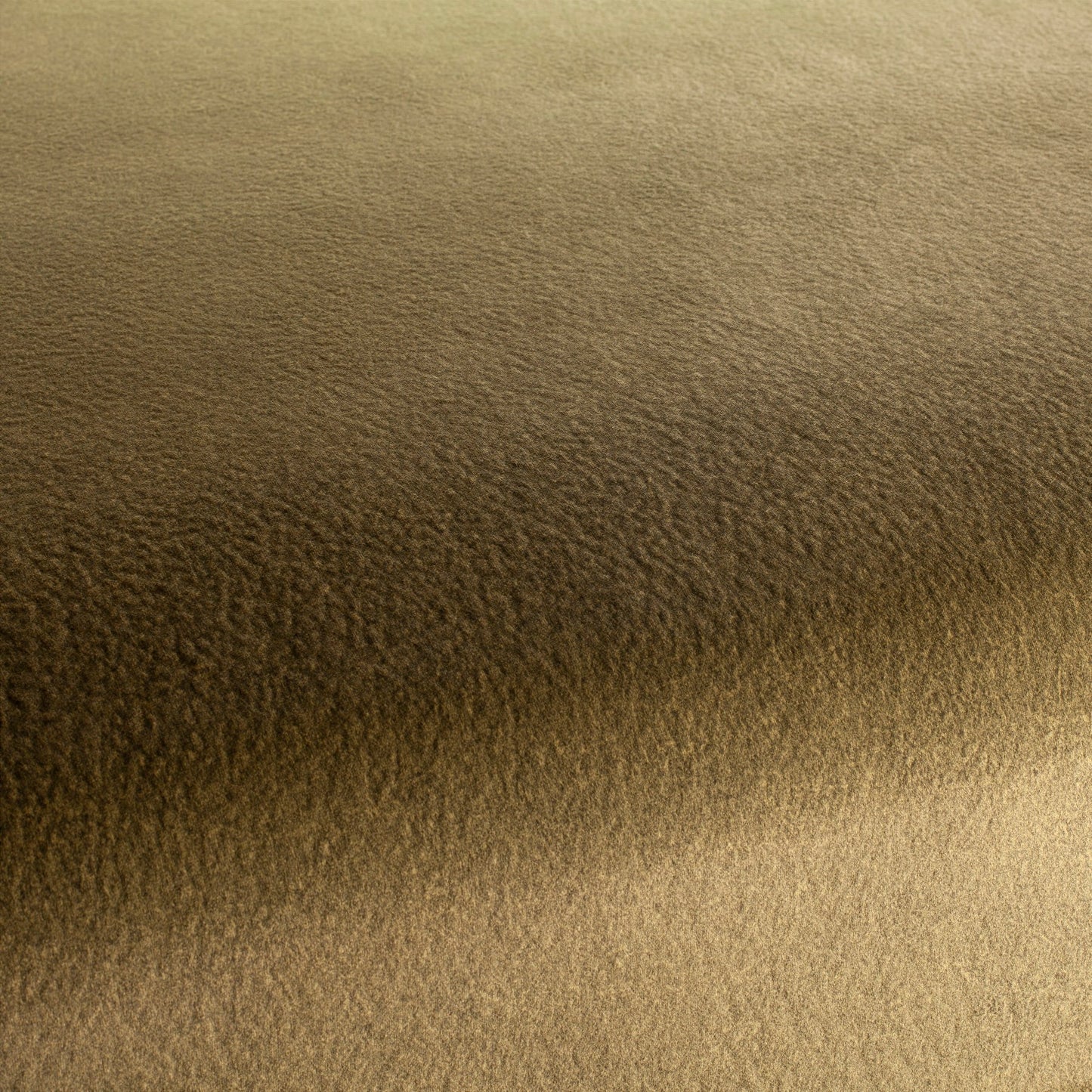 Chivasso by Your Side Colour 10