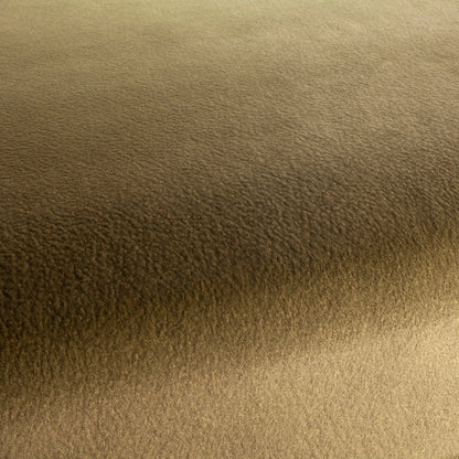 Chivasso by Your Side Colour 10