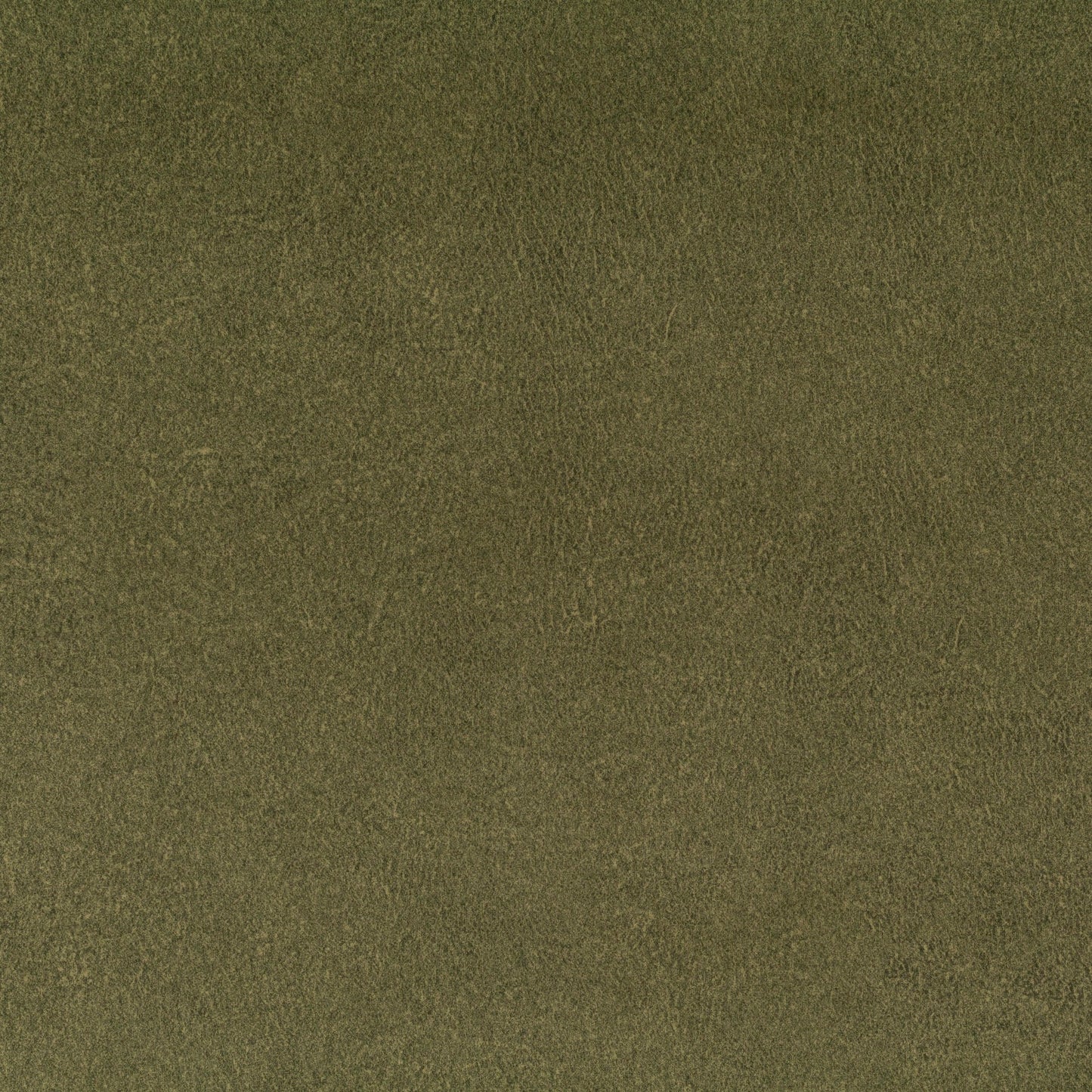 Chivasso by Your Side Colour 11