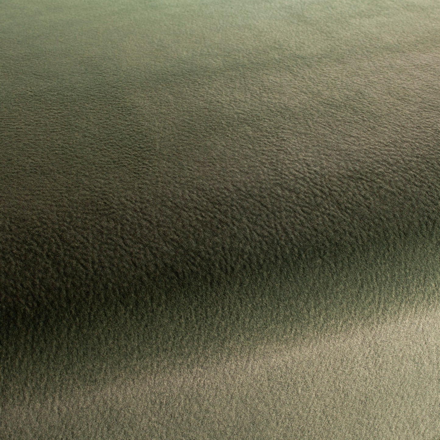 Chivasso by Your Side Colour 11