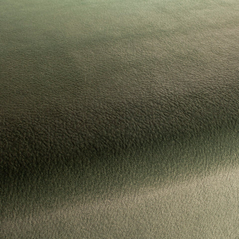 Chivasso by Your Side Colour 11