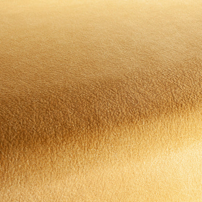 Chivasso by Your Side Colour 7