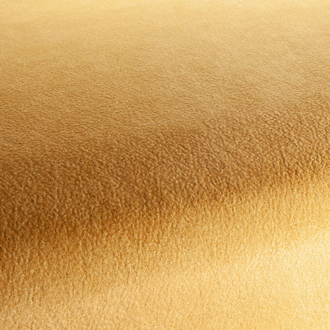 Chivasso by Your Side Colour 7