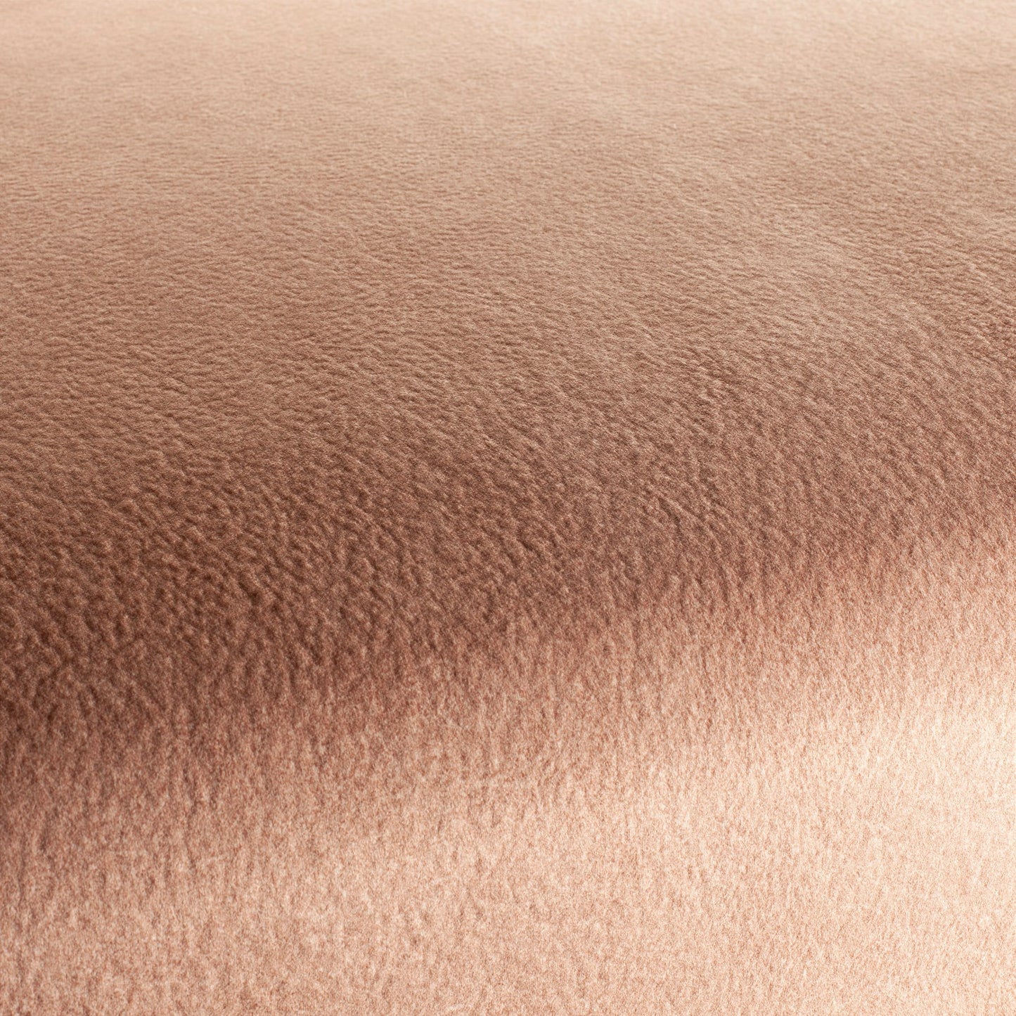 Chivasso by Your Side Colour 17