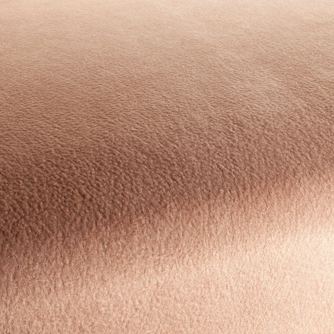 Chivasso by Your Side Colour 17