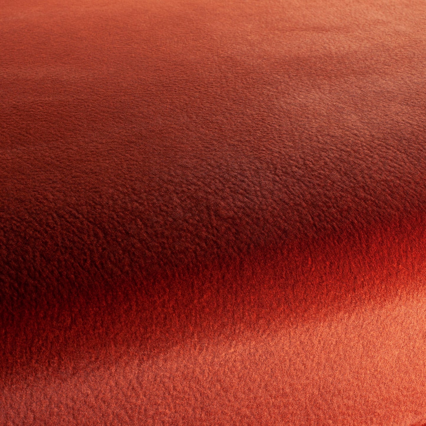 Chivasso by Your Side Colour 20