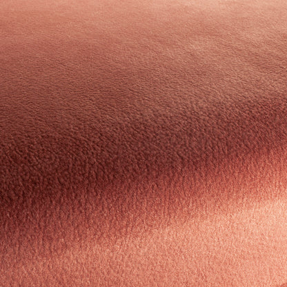 Chivasso by Your Side Colour 19