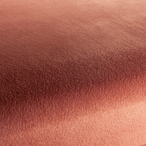 Chivasso by Your Side Colour 19