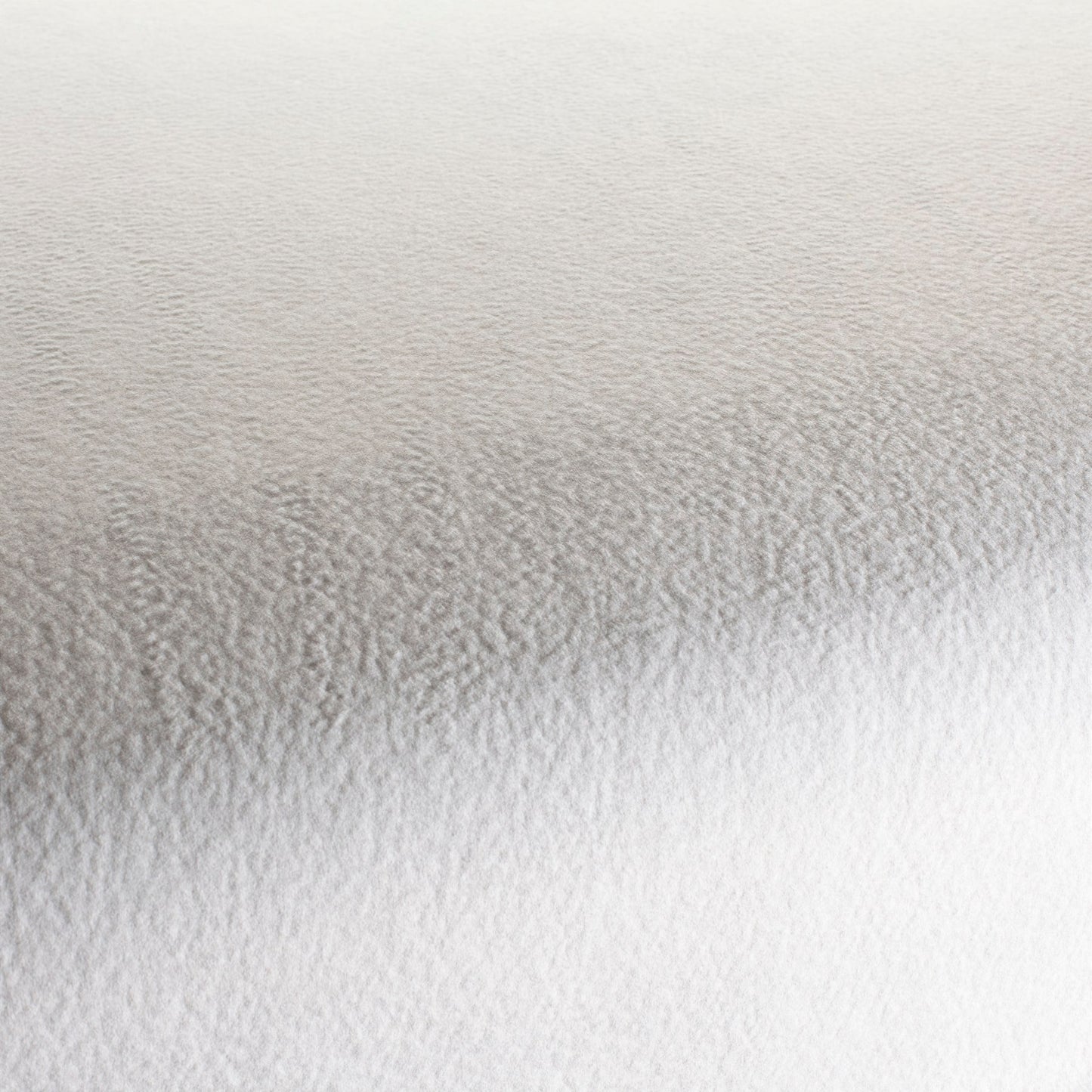 Chivasso by Your Side Colour 2