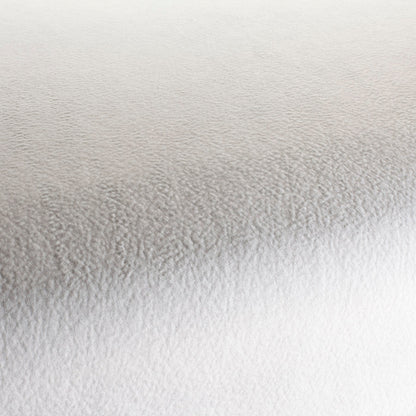 Chivasso by Your Side Colour 2