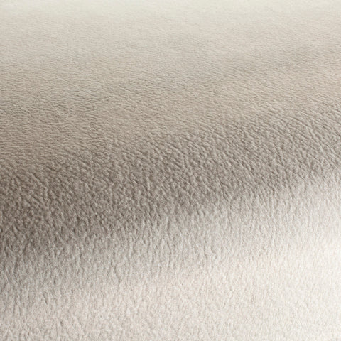 Chivasso by Your Side Colour 4