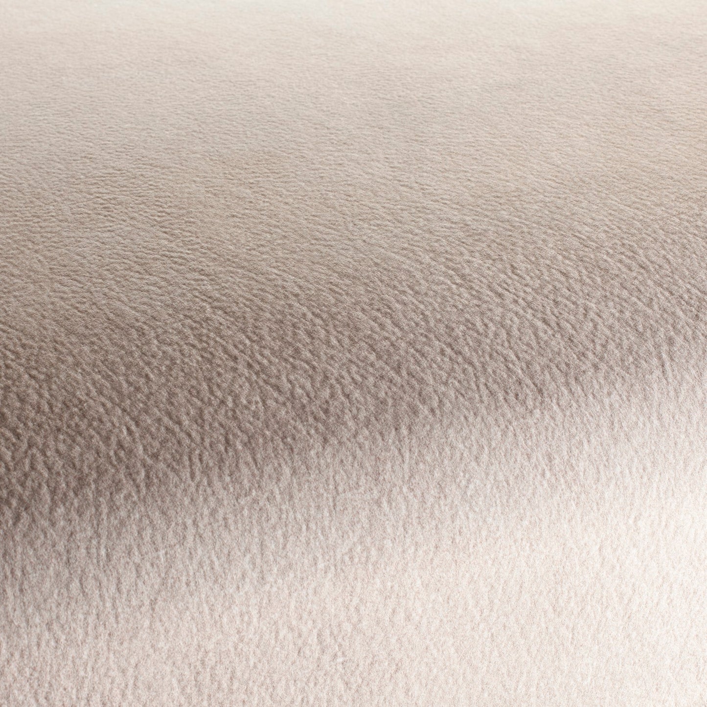 Chivasso by Your Side Colour 3