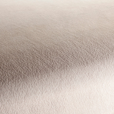 Chivasso by Your Side Colour 3