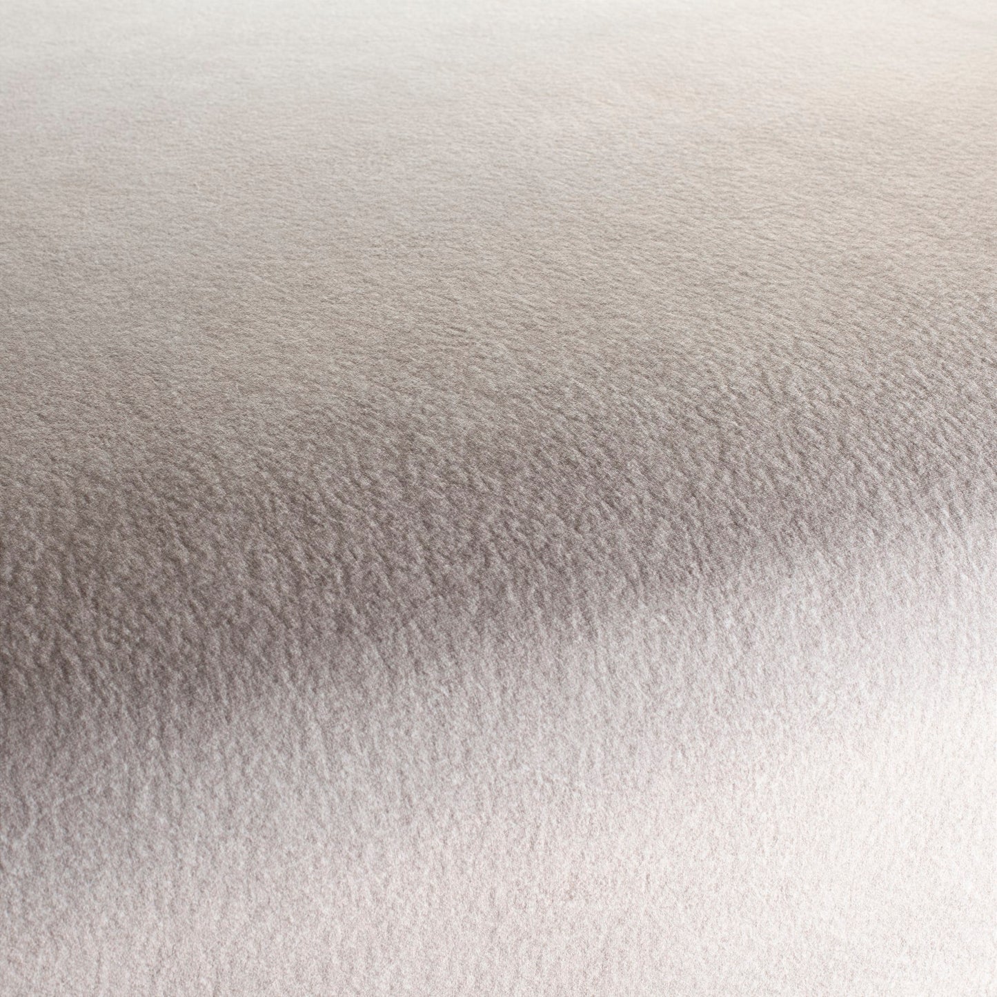 Chivasso by Your Side Colour 5