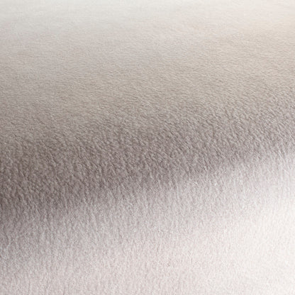 Chivasso by Your Side Colour 5