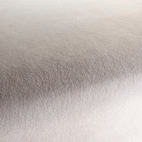 Chivasso by Your Side Colour 5