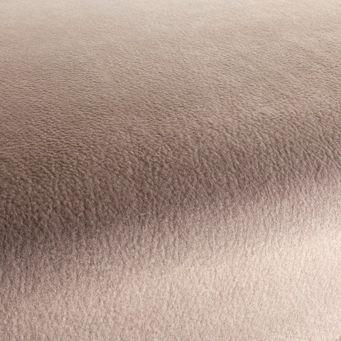 Chivasso by Your Side Colour 6