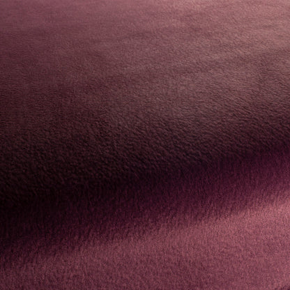 Chivasso by Your Side Colour 15