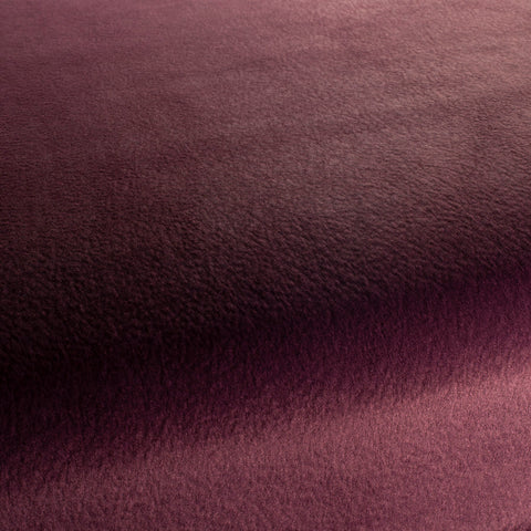 Chivasso by Your Side Colour 15