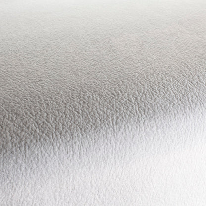 Chivasso by Your Side Colour 1