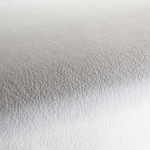 Chivasso by Your Side Colour 1