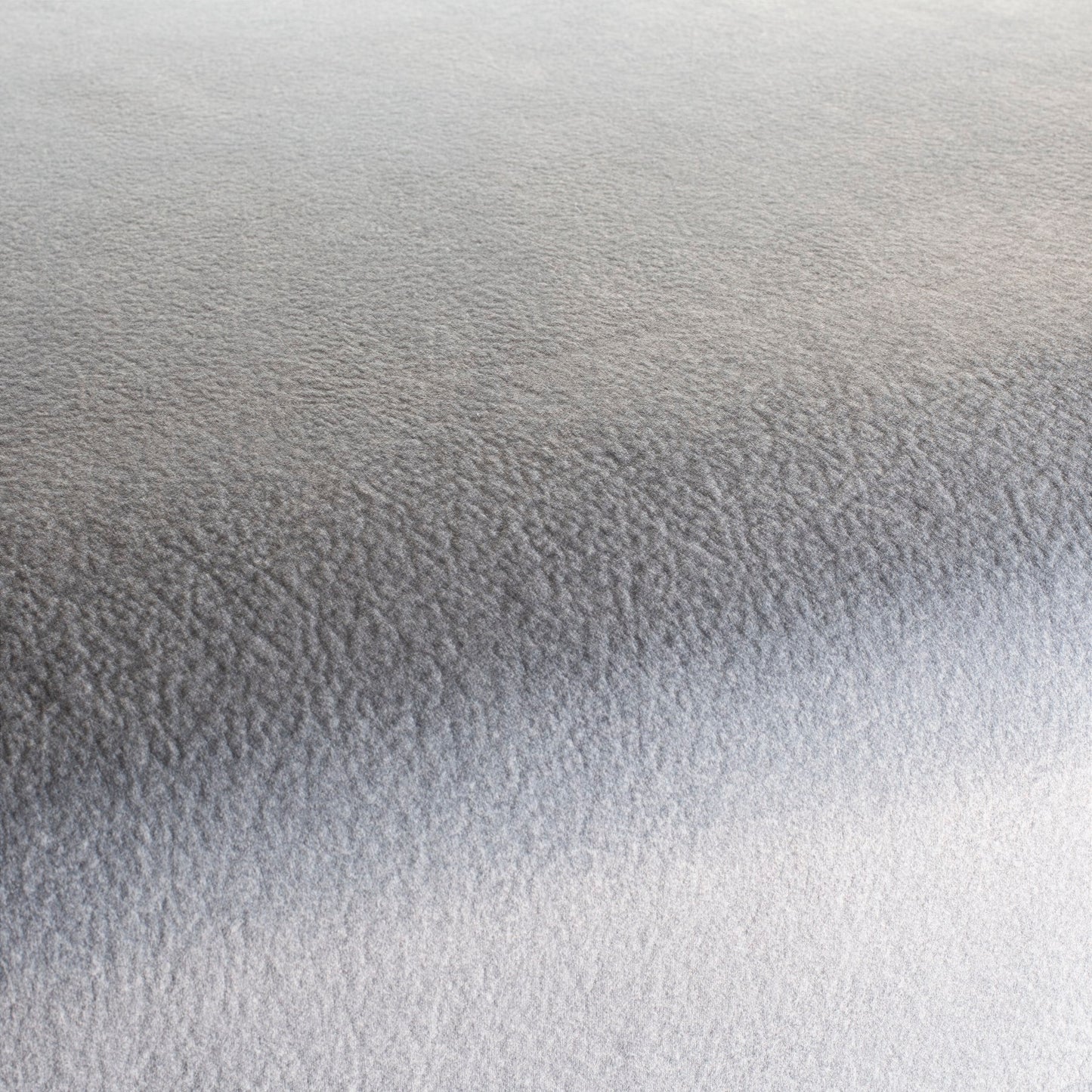 Chivasso by Your Side Colour 25