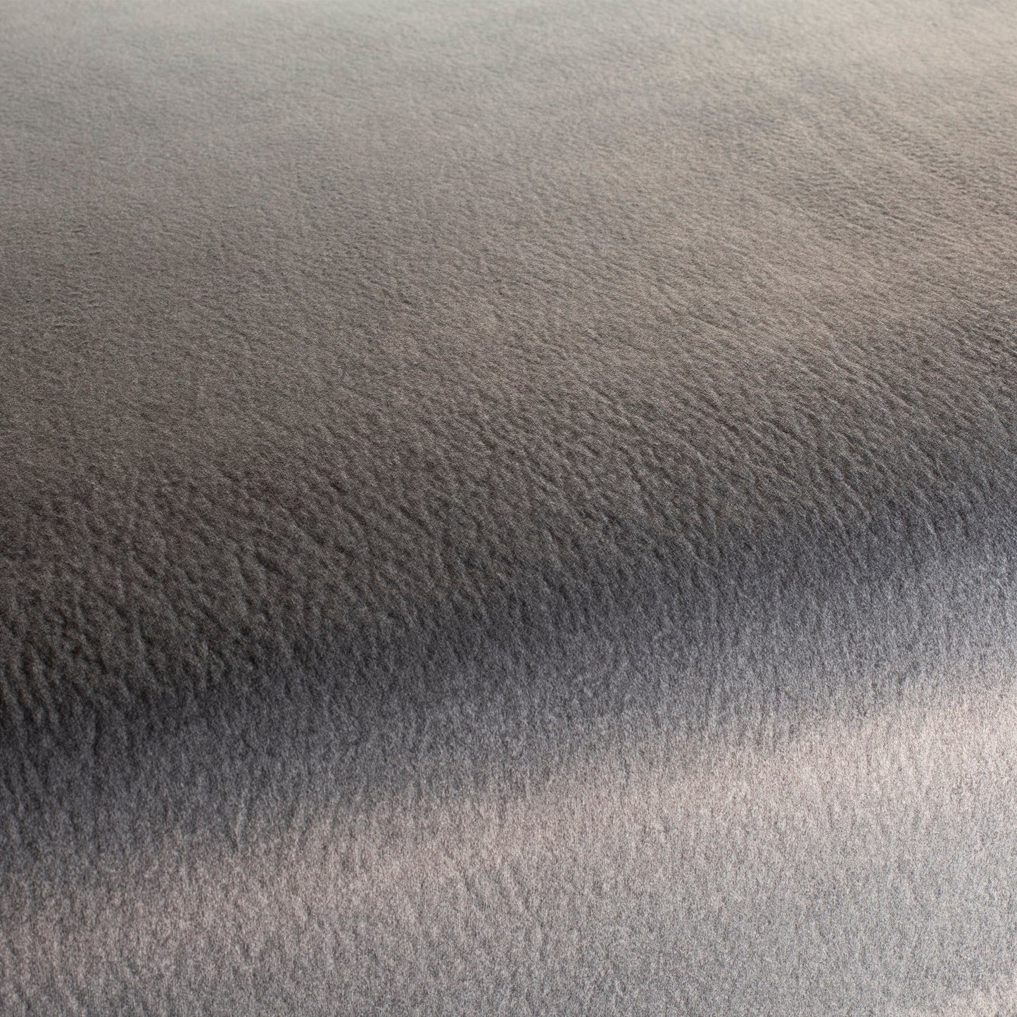 Chivasso by Your Side Colour 26