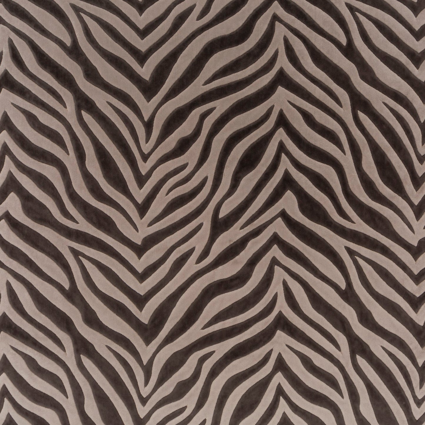 Chivasso Wild Shape Colour 3