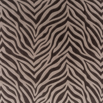 Chivasso Wild Shape Colour 3