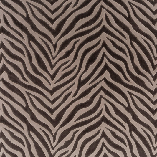 Chivasso Wild Shape Colour 3